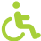 handicap icon