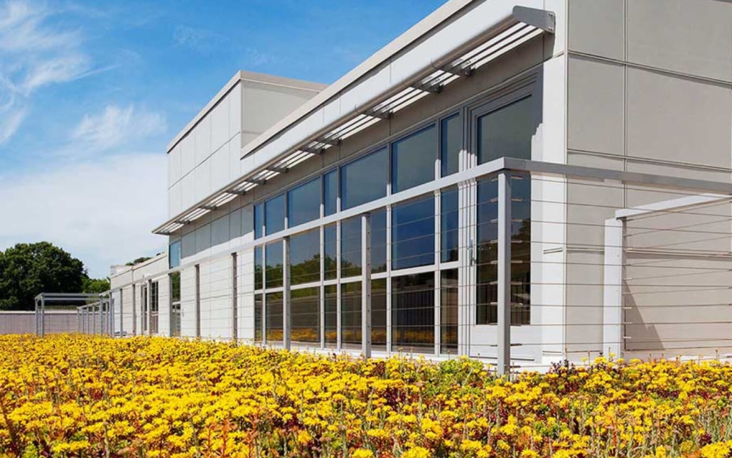 A modern building with large windows is shown next to a garden filled with blooming yellow flowers under a blue sky with some clouds.