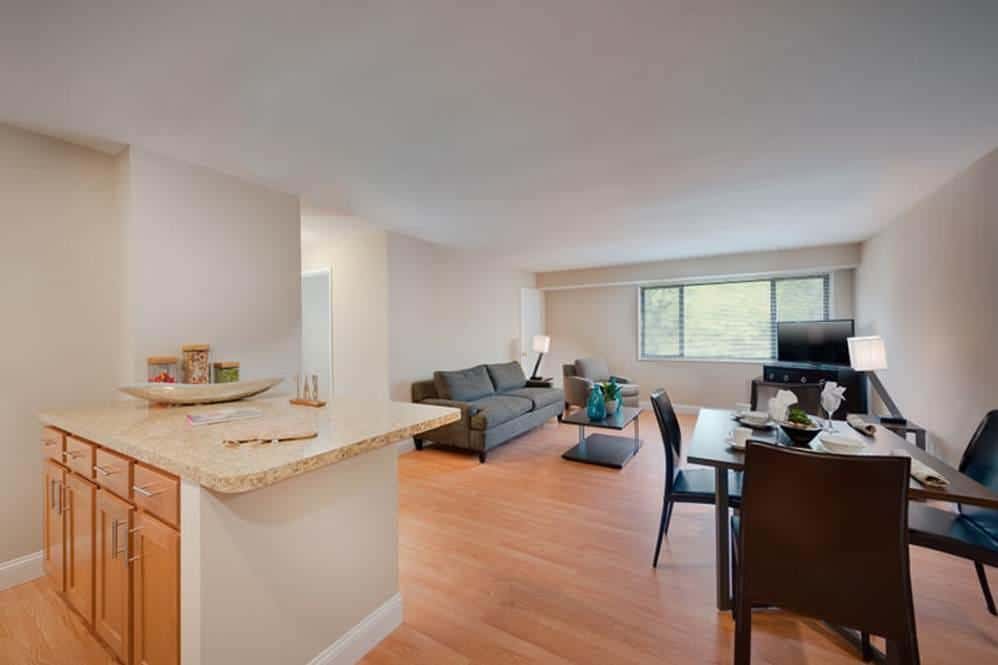 Modern open-plan apartment with light wood floors, a kitchen area with granite countertops, a dining table set for four, a living area with a gray sofa, TV, and large window letting in natural light.